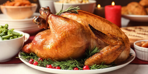 158-dinde-de-thanksgiving