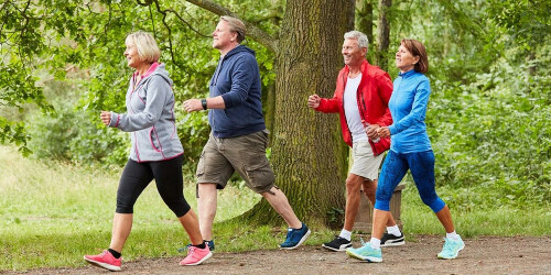marche-active-pour-senior-2