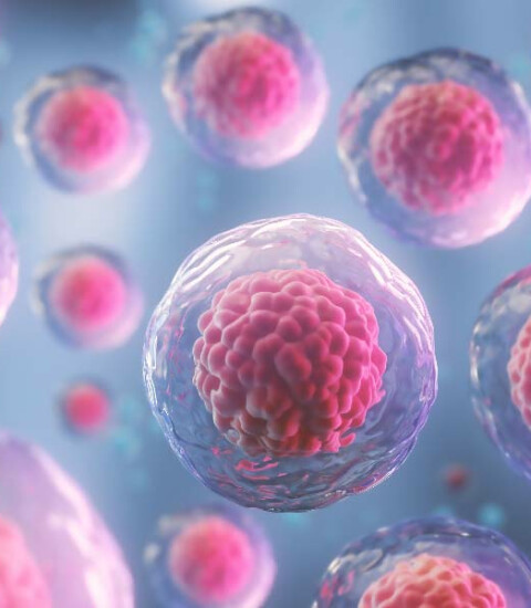 taux-de-crp-cancer